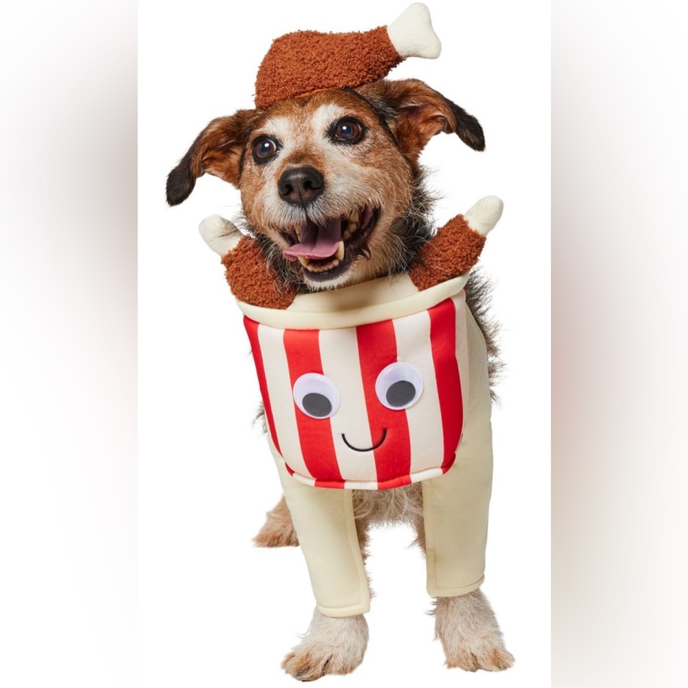 Pet costume fried chicken bucket size SMALL
